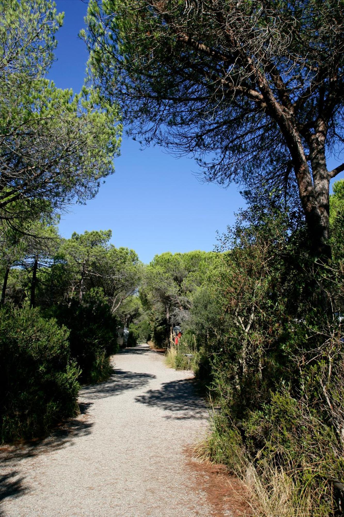 Camping Maremma Sans Souci 카스틸리오네 델라 페스카이아 외부 사진