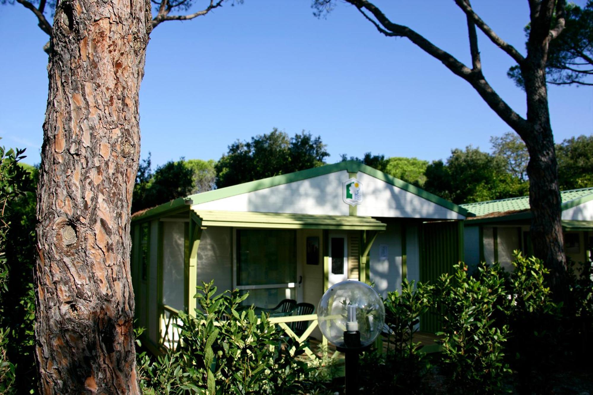 Camping Maremma Sans Souci 카스틸리오네 델라 페스카이아 외부 사진