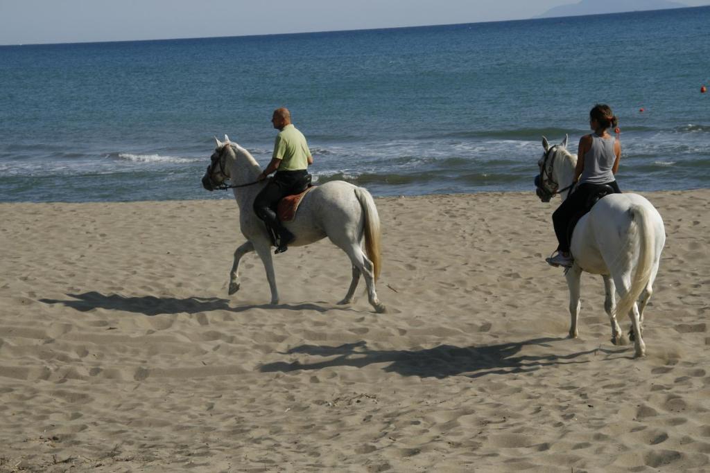 Camping Maremma Sans Souci 카스틸리오네 델라 페스카이아 외부 사진